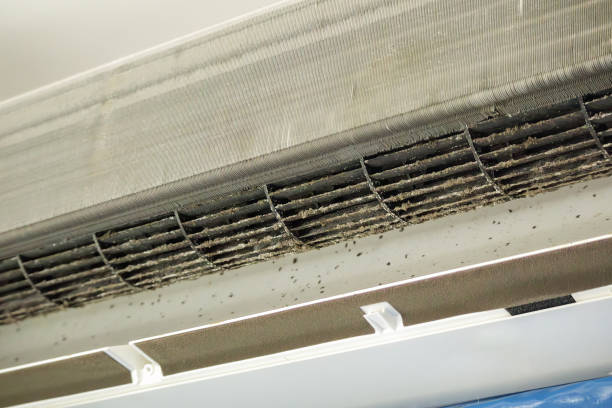 Best Emergency Air Duct Cleaning  in Addison, IL